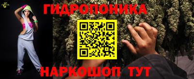 прущие грибы Лесосибирск
