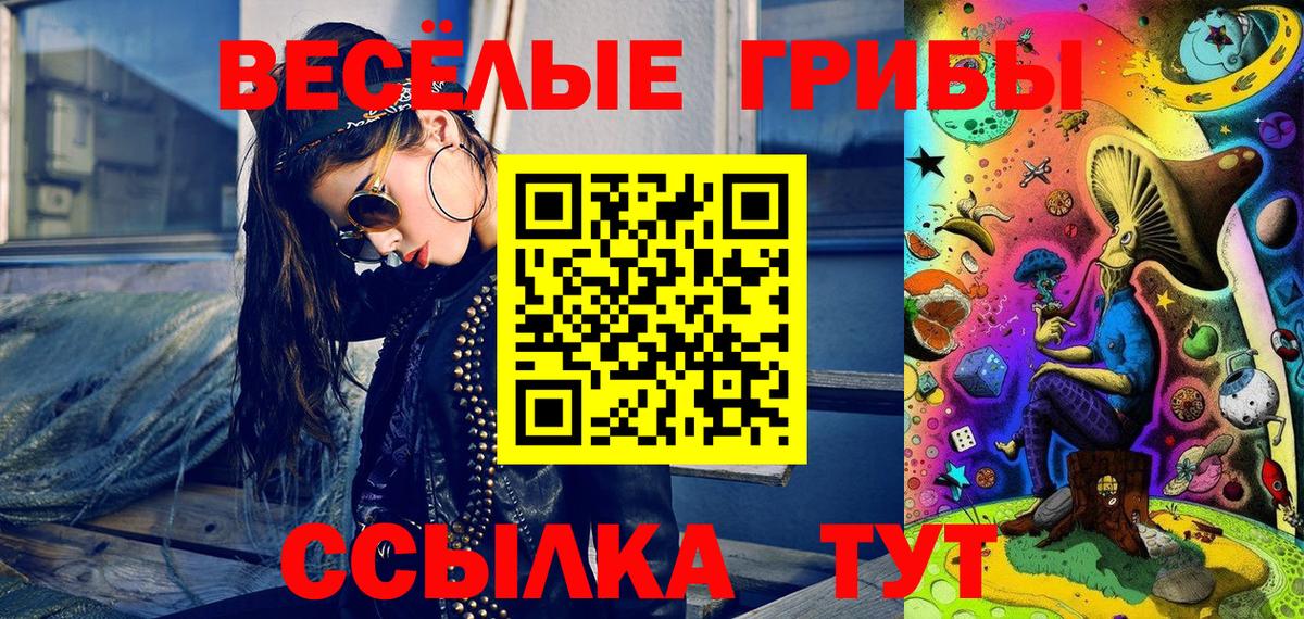 где купить наркоту  Вход с VPN  Жуковский  Псилоцибиновые грибы MAGIC MUSHROOMS 